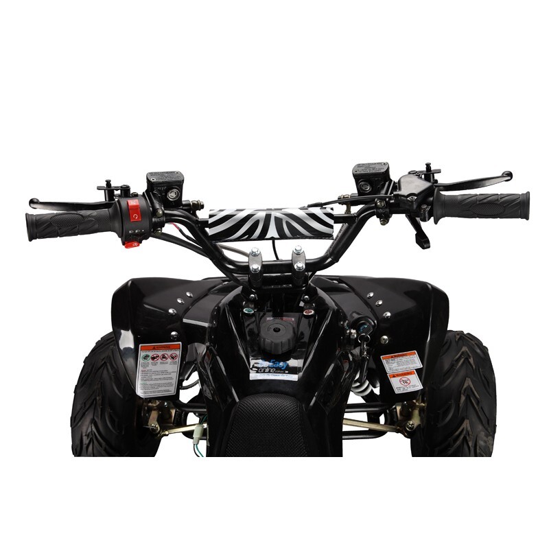 GMX 110cc The Beast Sports Quad Bike – Black