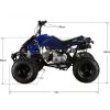 GMX 110cc The Beast Sports Quad Bike – Blue