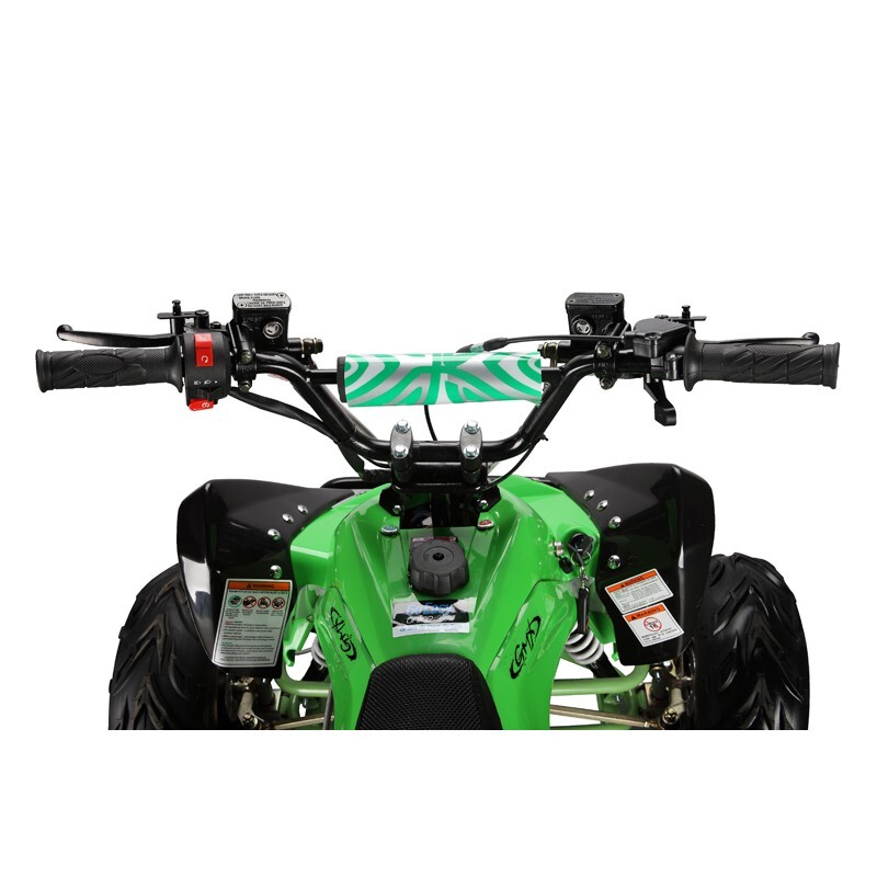 GMX 110cc The Beast Sports Quad Bike – Green