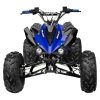 GMX 125cc The Beast Sports Quad Bike – Blue